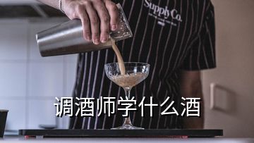 調(diào)酒師學(xué)什么酒