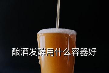 釀酒發(fā)酵用什么容器好