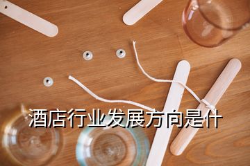 酒店行業(yè)發(fā)展方向是什