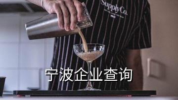 寧波企業(yè)查詢