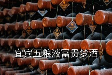 宜賓五糧液富貴夢酒