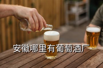 安徽哪里有葡萄酒廠