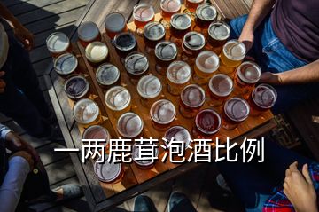 一兩鹿茸泡酒比例