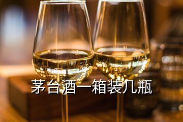 茅臺(tái)酒一箱裝幾瓶