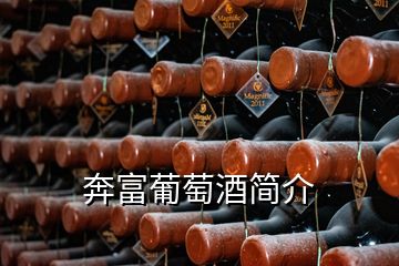 奔富葡萄酒簡(jiǎn)介