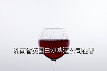 湖南省英國白沙啤酒公司在哪