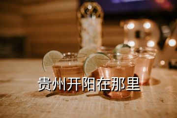 貴州開陽在那里