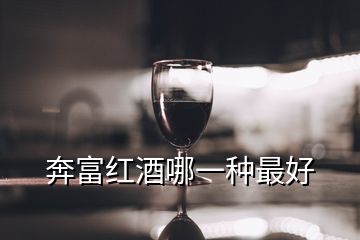 奔富紅酒哪一種最好