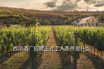 西鳳酒廠招聘正式工人條件是什么