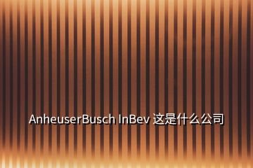 AnheuserBusch InBev 這是什么公司