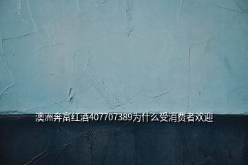 澳洲奔富紅酒407707389為什么受消費(fèi)者歡迎