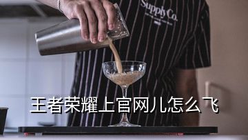 王者榮耀上官網(wǎng)兒怎么飛