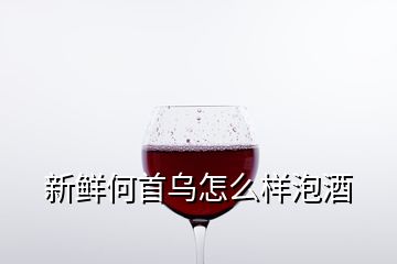 新鮮何首烏怎么樣泡酒