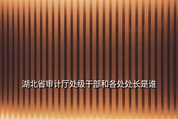 湖北省審計廳處級干部和各處處長是誰