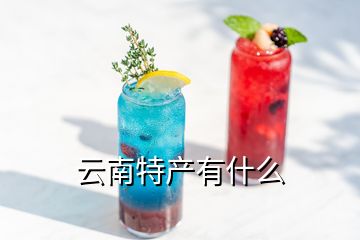 云南特產(chǎn)有什么