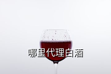 哪里代理白酒