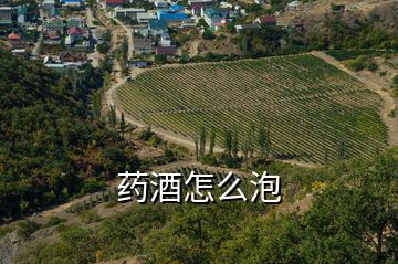 藥酒怎么泡