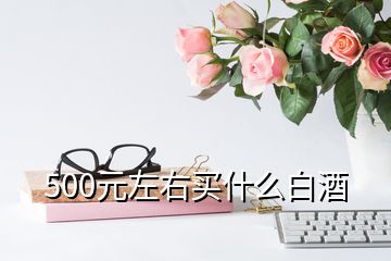 500元左右買(mǎi)什么白酒