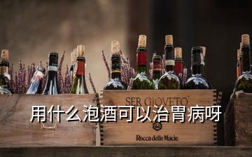 用什么泡酒可以治胃病呀