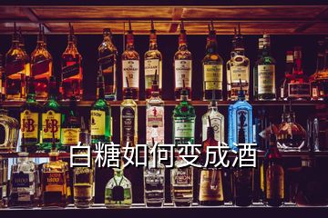 白糖如何變成酒