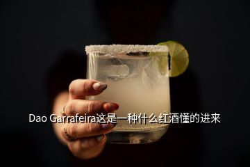 Dao Garrafeira這是一種什么紅酒懂的進來