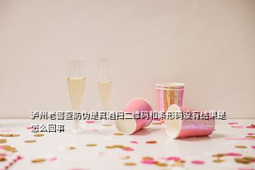 瀘州老窖查防偽是真酒掃二維碼和條形碼沒(méi)有結(jié)果是怎么回事