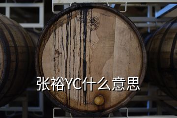 張裕YC什么意思