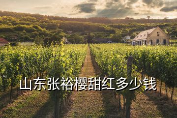 山東張裕櫻甜紅多少錢