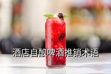 酒店自釀啤酒推銷(xiāo)術(shù)語(yǔ)