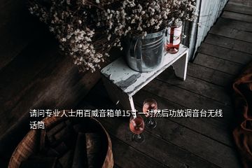 請問專業(yè)人士用百威音箱單15寸一對然后功放調音臺無線話筒