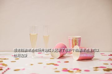 感覺(jué)精釀啤酒市場(chǎng)開(kāi)始紅火起來(lái)了想開(kāi)個(gè)精釀啤酒屋可以給周邊飯