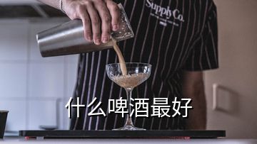 什么啤酒最好