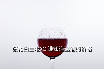 張裕白蘭地XO 誰知道這酒的價格