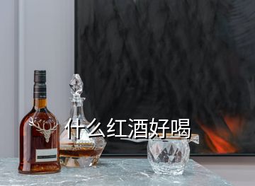 什么紅酒好喝