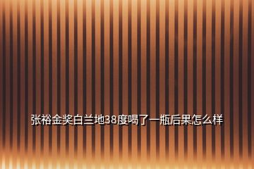 張裕金獎白蘭地38度喝了一瓶后果怎么樣