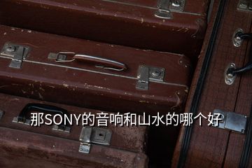 那SONY的音響和山水的哪個好