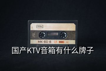 國產(chǎn)KTV音箱有什么牌子