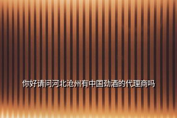 你好請(qǐng)問(wèn)河北滄州有中國(guó)勁酒的代理商嗎