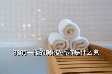 8800一瓶的黑桃A香檳是什么鬼