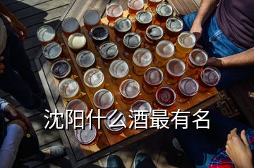 沈陽(yáng)什么酒最有名