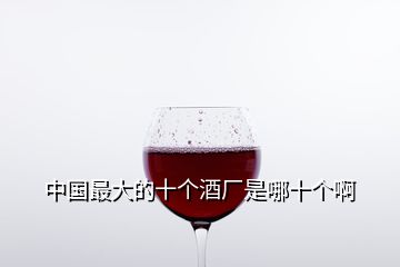 中國最大的十個(gè)酒廠是哪十個(gè)啊