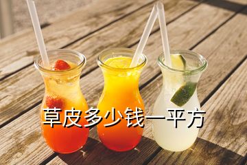 草皮多少錢(qián)一平方