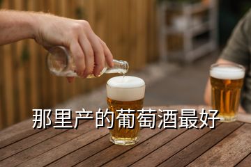 那里產(chǎn)的葡萄酒最好