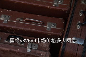 國緣v3V6V9市場價格多少啊急