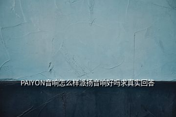 PAIYON音響怎么樣派揚音響好嗎求真實回答