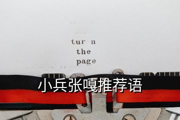 小兵張嘎推薦語