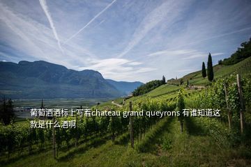 葡萄酒酒標(biāo)上寫著chateau grand queyrons 有誰知道這款是什么酒啊