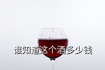 誰知道這個酒多少錢