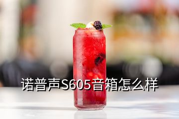 諾普聲S605音箱怎么樣