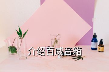 介紹百威音箱